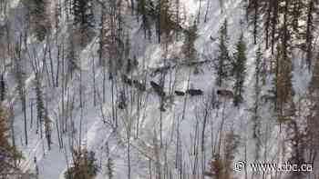 Mikisew Cree celebrate expansion of Kitaskino Nuwenëné Wildland Provincial Park