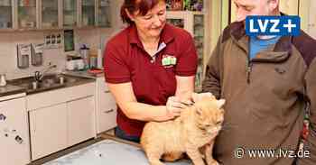 Tier- und Zahnärzte sollen gegen Covid 19 impfen – aber noch gibt es ein paar Hürden - Leipziger Volkszeitung