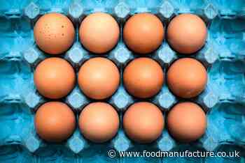 Salmonella outbreak linked to eggs hits UK - source unknown