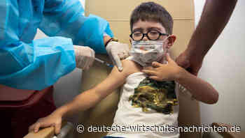 US-Pharmakonzern Pfizer kann Gewinn mehr als verdoppeln