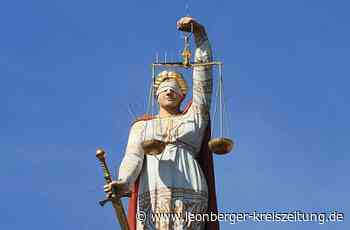 Prozess am Leonberger Amtsgericht - Steine auf den Nachbarn geworfen - Leonberger Kreiszeitung