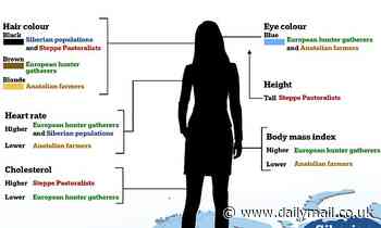 Europeans owe their height to Asian nomads and their blue eyes to hunter gatherers