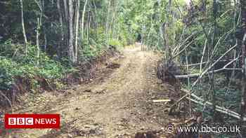 No silver-bullet solutions for saving used planet