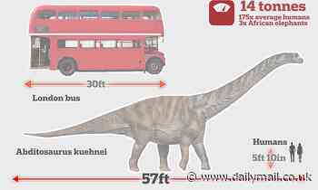 Huge species of titanosaur twice the size of a London bus roamed Spain 70.5 million years ago