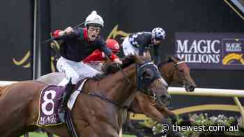 Young trainer Luke Fernie, jockey Clint Johnston-Porter take centre stage in Magic Millions 2YO Classic - The West Australian