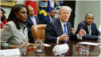 Omarosa says Trump 'loved to tear up' White House documents