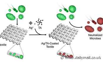 Scientists develop an anti-microbial lining to eliminate body odour 