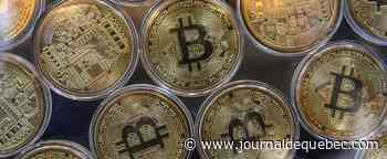 Un couple vole pour 3,6 milliards de dollars de bitcoins