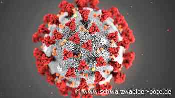 Corona im Kreis Calw: Inzidenz sinkt leicht