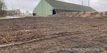 Die Anwohner anhören – dann bringt gate.ruhr mehr als 1000 neue Jobs - Marler Zeitung