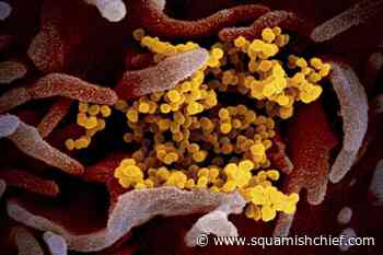 British Columbia's death toll from COVID-19 surpasses 2700 - Squamish Chief