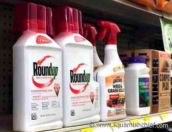 Advocates thrilled as court orders Health Canada to reassess glyphosate decision - Squamish Chief