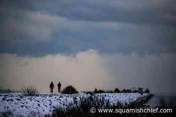 Pandemic highlights problems in access to mental health, psychological services - Squamish Chief