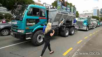 New Zealand's capital sees its own convoy protest against COVID-19 restrictions