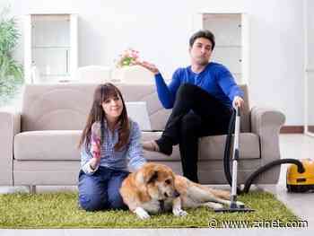 Best vacuum for pet hair 2022: Bissell, Dyson, and more