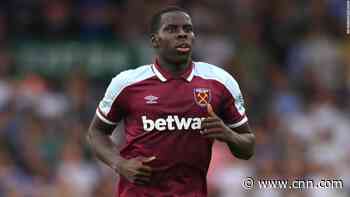 Soccer star filmed kicking and slapping cat