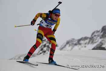 De half-Noorse in zwart-geel-rood - De Standaard