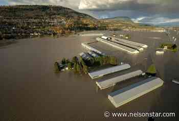 Governments to announce recovery plan for B.C. agriculture industry after floods - Nelson Star