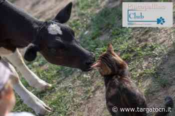 San Valentino al Pinco Pallino di Fossano - TargatoCn.it