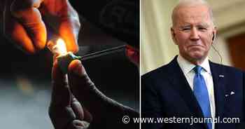 Hunter Must Be Proud: Biden Spends $30 Million Helping Minority Drug Addicts Get High as a Kite