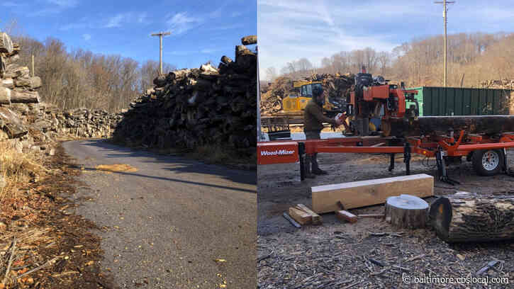 At Baltimore’s Camp Small, Woodworkers Breathe New Life Into Fallen Trees
