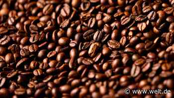 Die Kaffeepreise sollen kräftig anziehen