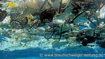 Plastikmüll auch in Muscheln: Wissenschaftler schlagen Alarm