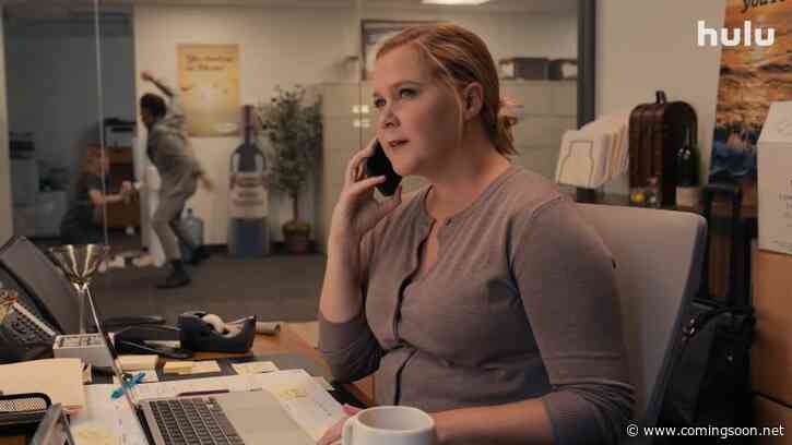 Life & Beth Trailer: Amy Schumer Stars in Hulu’s Comedy-Drama Series