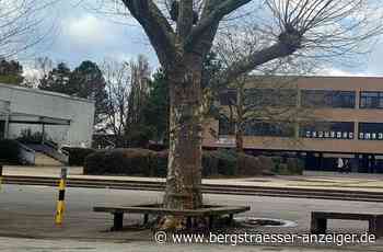 Angebliche Waffe an Heppenheimer Schule wurde nicht gefunden - Heppenheim - Nachrichten und Informationen - Bergsträßer Anzeiger