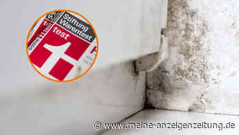 Schimmelentferner bei Stiftung Warentest: Billig-Produkt überzeugt