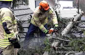 Sturmtief Roxana in Coburg - Stadt und Landkreis überstehen Sturm ohne Schäden - Neue Presse Coburg