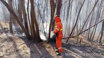 Andrate, un altro incendio boschivo: vigili del fuoco e volontari all’opera - La Sentinella del Canavese