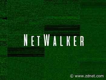 NetWalker ransomware gang affiliate pleads guilty, slapped with 7-year sentence