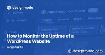 How to Monitor the Uptime of a WordPress Website