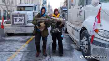 Ottawa protest inspires talk of copycat convoys in U.S. and beyond