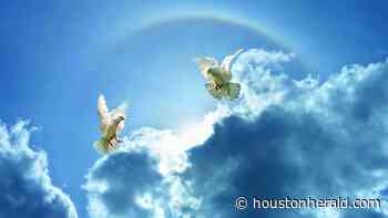 EDWARD “EDDIE” JOE HANEY - Houston Herald