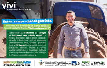 Bando PSR Marche sottomisura 4.1: il 10 febbraio a Cagli il seminario di presentazione - Occhio alla Notizia