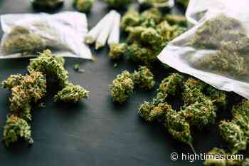 Big Changes Enforced on Medical Cannabis Program in Pennsylvania - High Times