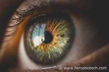 Second Sight eyes buyout of Nano Precision Medical and its diabetes drug implant - FierceBiotech
