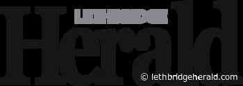 Police pursuit case sent back to Lethbridge - Lethbrige Herald