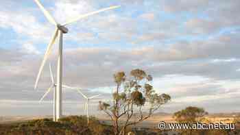 Hundreds of wind towers are planned for the NSW New England and some farmers are worried