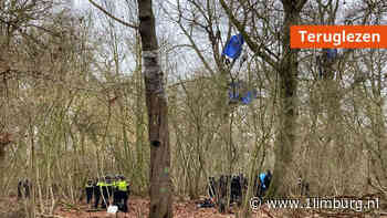 Teruglezen: Laatste activist uit boom gehaald, gearresteerd - 1Limburg | Nieuws en sport uit Limburg