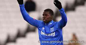 West Ham's Kurt Zouma cat video under police investigation - Grimsby Live