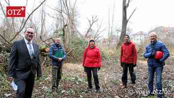 Vor dem Fällen will die Stadt Jena künftig besser informieren - Ostthüringer Zeitung