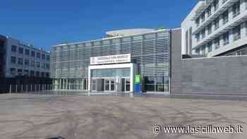 Catania, sta meglio la neonata col Covid - lasiciliaweb | Notizie di Sicilia