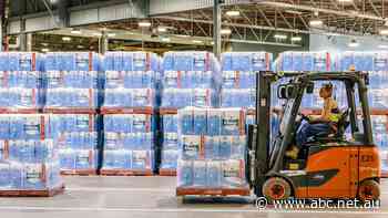 Toilet paper on a roll: Pandemic-driven demand fuels record daily production lines at SA mill