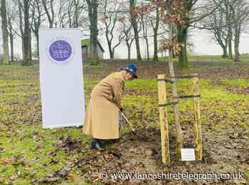 Hyndburn's oak tree tribute to Queen's Platinum Jubilee