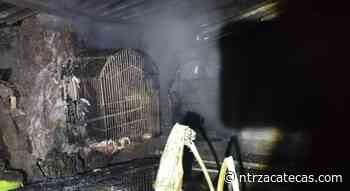 Se incendia tienda de mascotas en Fresnillo - NTR Zacatecas .com