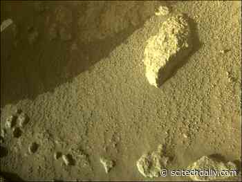 NASA Perseverance Mars Rover: Nobody Tell Elmo About Issole