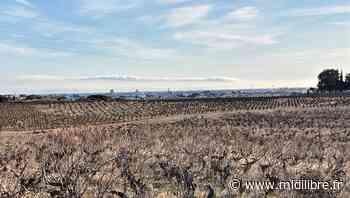 Frontignan : l'état des lieux de la ville dressé par le palmarès Villes & villages - Midi Libre